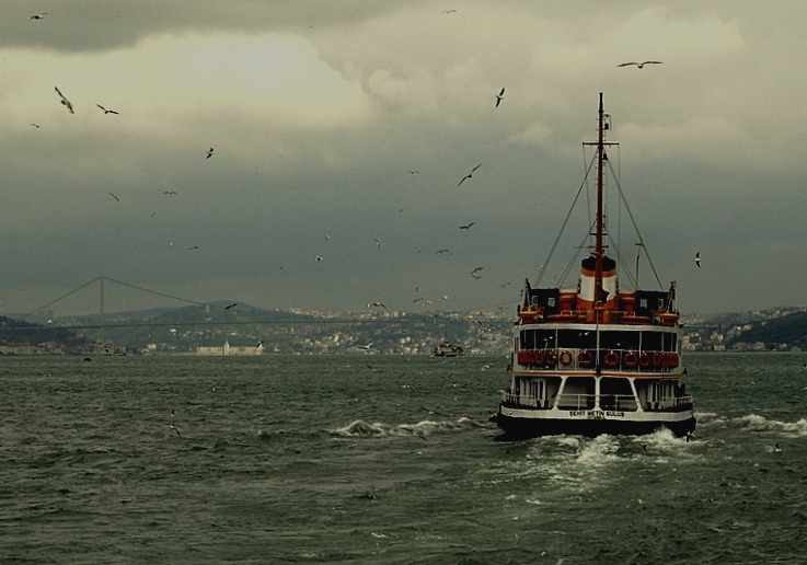Soluk ve cansız bir fotoğraf. İstanbul boğazında giden bir vapur ve etrafında uçuşan martılar.